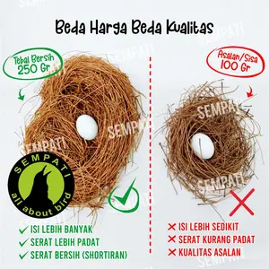 SEMPATI SERAT CEMARA SARANG TEMPAT BERTELUR BURUNG