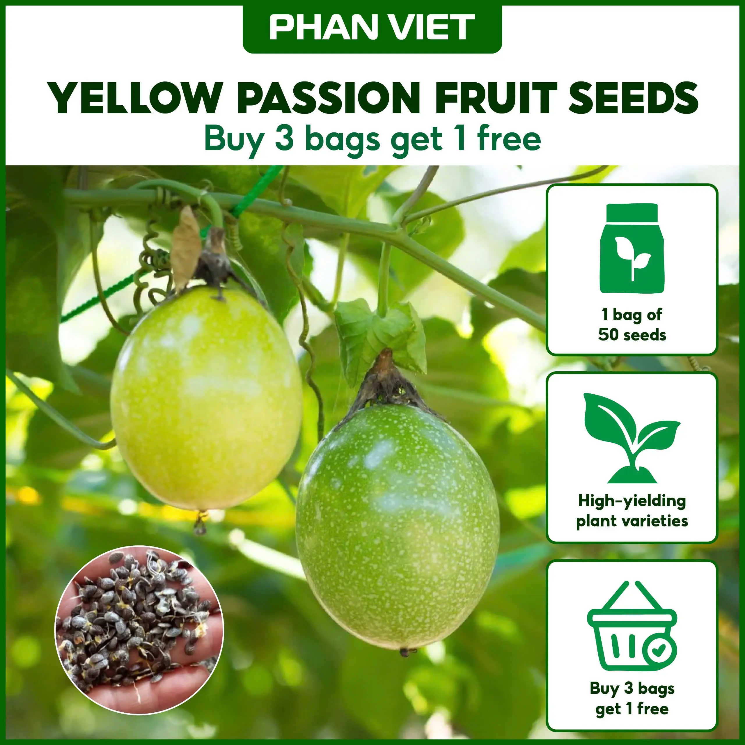 Combo 3 packs sweet yellow passion fruit seeds with guava aroma Flower