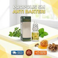 Gambar Telinga Propolis SM Tetes Membantu Mengatasi Telinga Berair Dan Telinga Keluar Cairan Serta Nyeri Telinga dari Hasanah Herbal Official Shop Kota Administrasi Jakarta Barat 2 Tokopedia