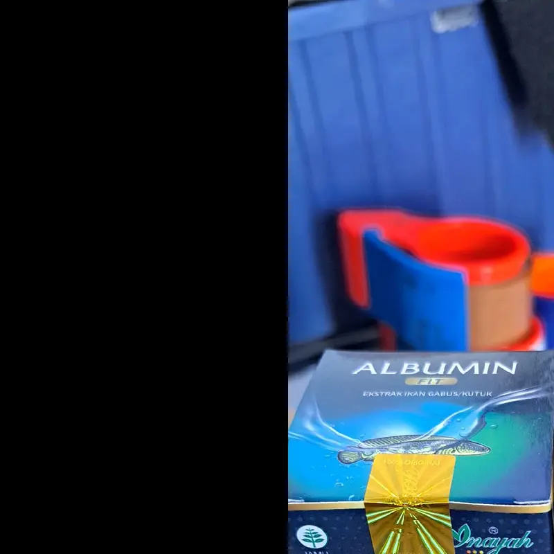 Suplemen Albumin Ekstrak Ikan Gabus Original  Inayah 60 Kapsul  membantu penyembuhan Pasca Operasi atau luka kemasan Baru all New 2
