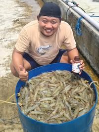 Gambar Disinfektan Terbaik Untuk Udang & Ikan || FisTx Nano Disinfektan 250gr dari FisTx Indonesia Kab. Sleman 2 Tokopedia