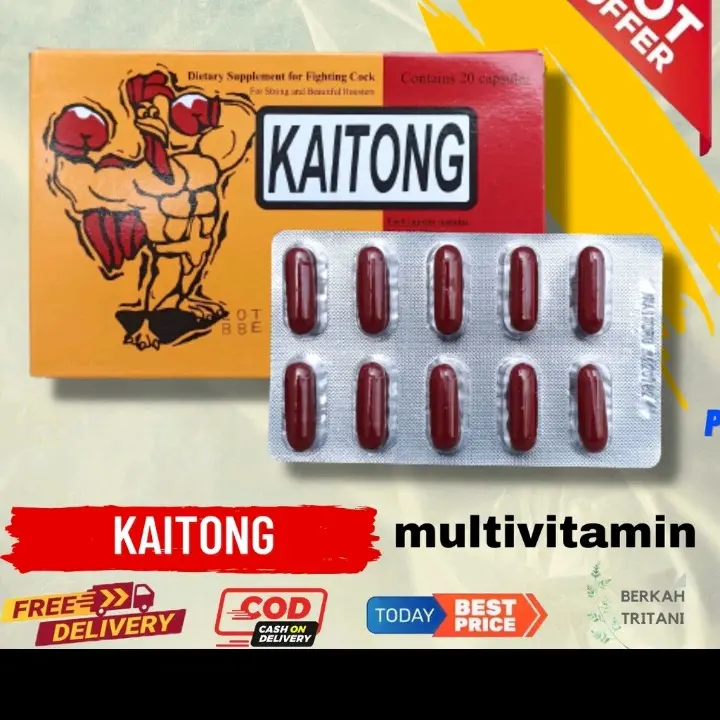 KAITONG MULTIVITAMIN AYAM LAGA TERBARU