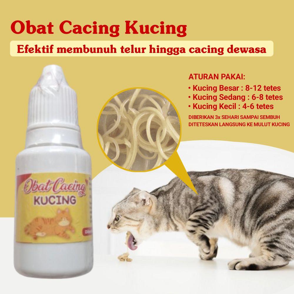 Obat Cacing Kucing | Efektif Basmi Telur Hingga Cacing Dewasa