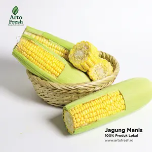 Jagung Manis Segar, Artofresh 100% Lokal