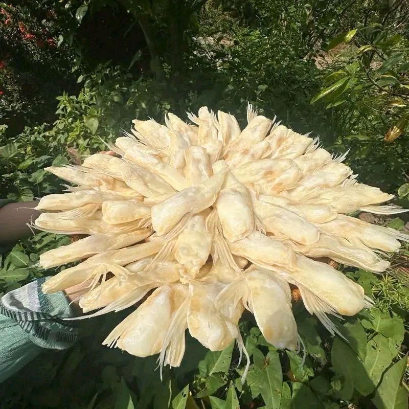 ( DELL KM kèm mắm me )1 ký khô ức cá dứa 3 nắng thơm ngon béo ngậy - hương vị việt - miền tây sông nước - hút chân không 500gam