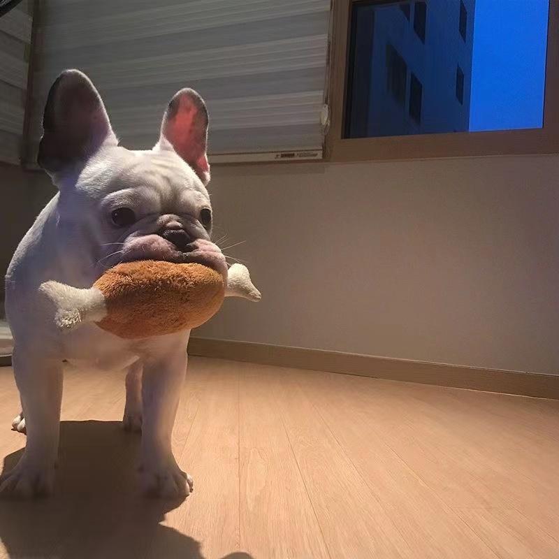 Đồ chơi xương chân gà, cho chó và Chó Con Nhai, Nhồi Bông có âm thanh kêu cót két, vật liệu thân thiện với thú cưng 1