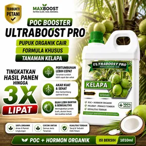 BOOSTER PELEBAT KELAPA  ULTRABOOST 1LITER – POC BOOSTER KHUSUS TANAMAN KELAPA , PEMACU TUMBUH, PELEBAT, BOOSTER HORMON ZPT ORGANIK MELEBATKAN, HASIL PANEN 3X LIPAT