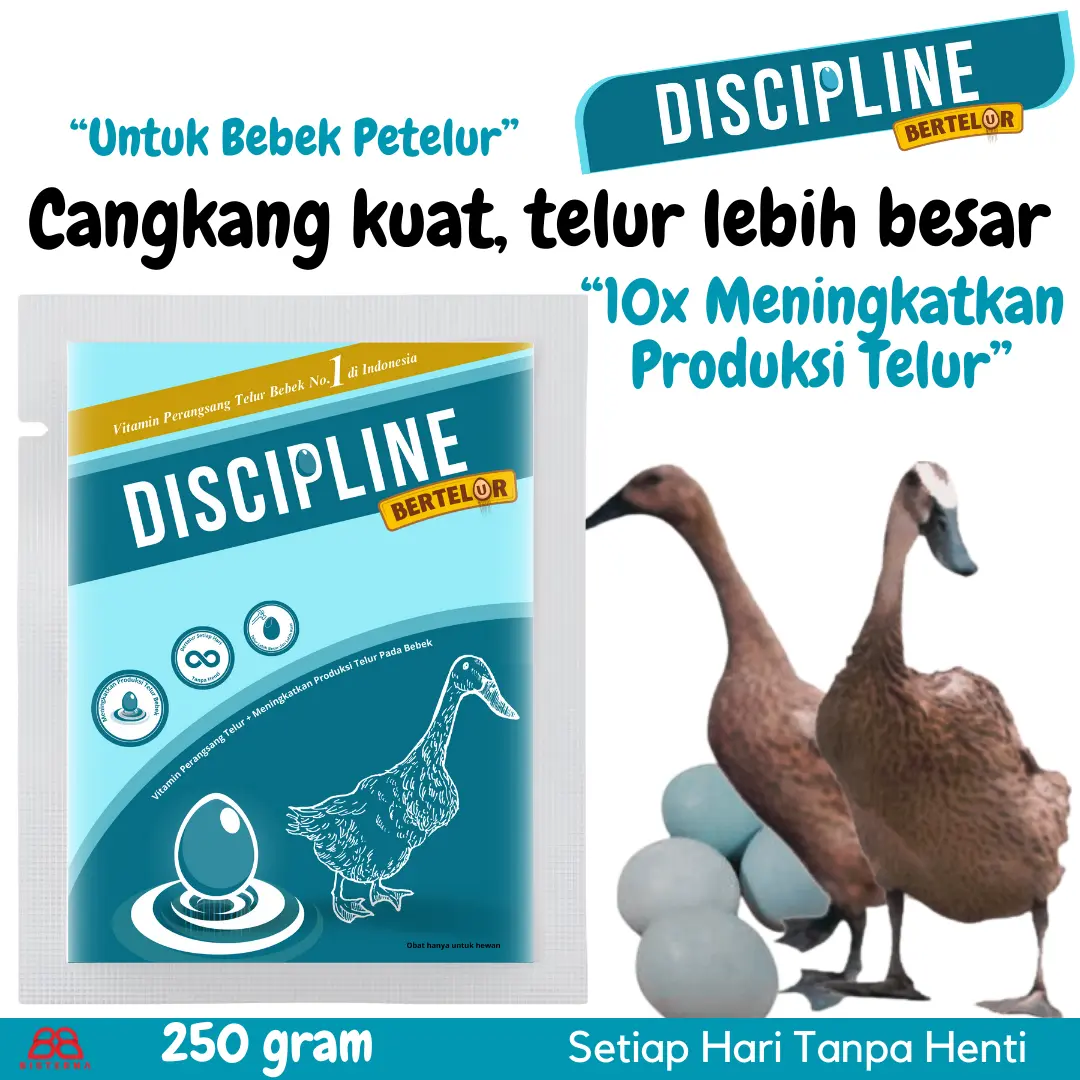 Discipline Vitamin bebek petelur produksi telur jadi lebih banyak dan telur jadi lebih kuat