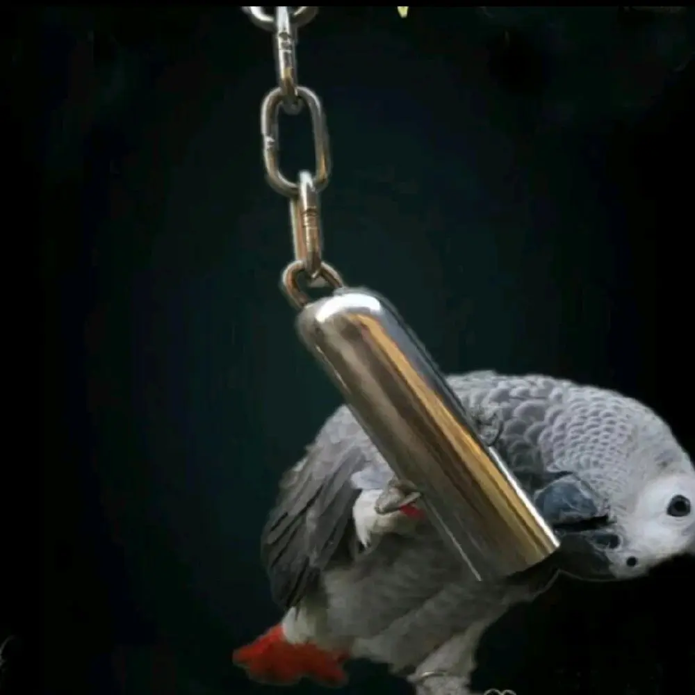 Lonceng mainan gigitan burung small parrot
