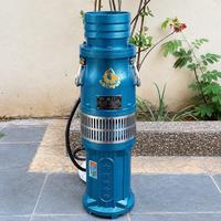 Gambar MAXPUMP 150QY160-4-3 Pompa Celup Kuras Banjir 3000W Flow 160 Kubik Per Jam Head 4m Submersible untuk Tambak Udang Ikan Pompa Submersible High Pressure - Pompa Deep Well 6 Inch untuk Irigasi, Tambak, Sungai & Air Mancur, Debit Besar, Awet dari Poseidonpump Kota Administrasi Jakarta Utara 5 Tokopedia