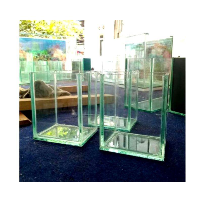soliter selvi ikan cupang/akuarium kaca mini polos 10x8x12 /1pcs 0