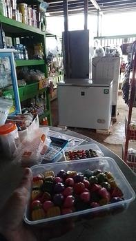 Product Review of Paket usaha coklat karakter buah mini isi 100pcs from H**N (**) a**n k** ** 2