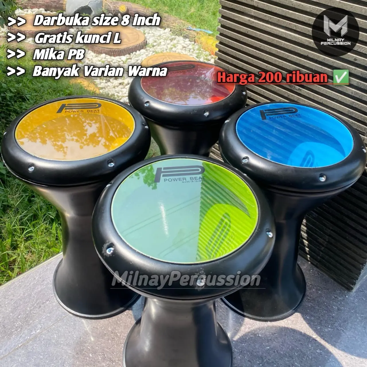 Darbuka polos daleman warna ukuran 8 inch free kunci L mika PB