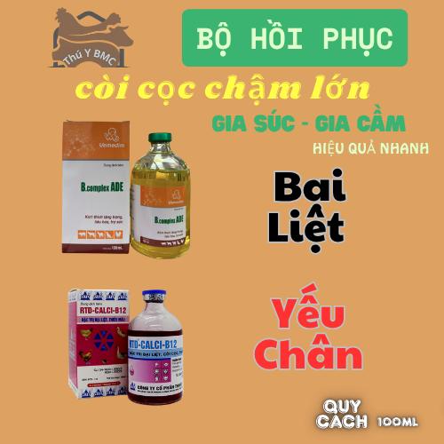 CALCI B12 và Bcomplex ADE 100ml Bộ tiêm xung căng lên tay hồi phục bổ máu hừng gà bại liệt yếu chân thuốc dùng cho vật nuôi