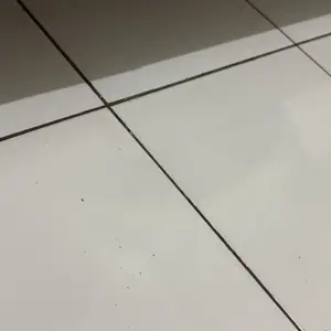 TRYSTO JAS HUJAN HOODIE PRIA WANITA DEWASA BAHAN PVC KUAT ELASTIS