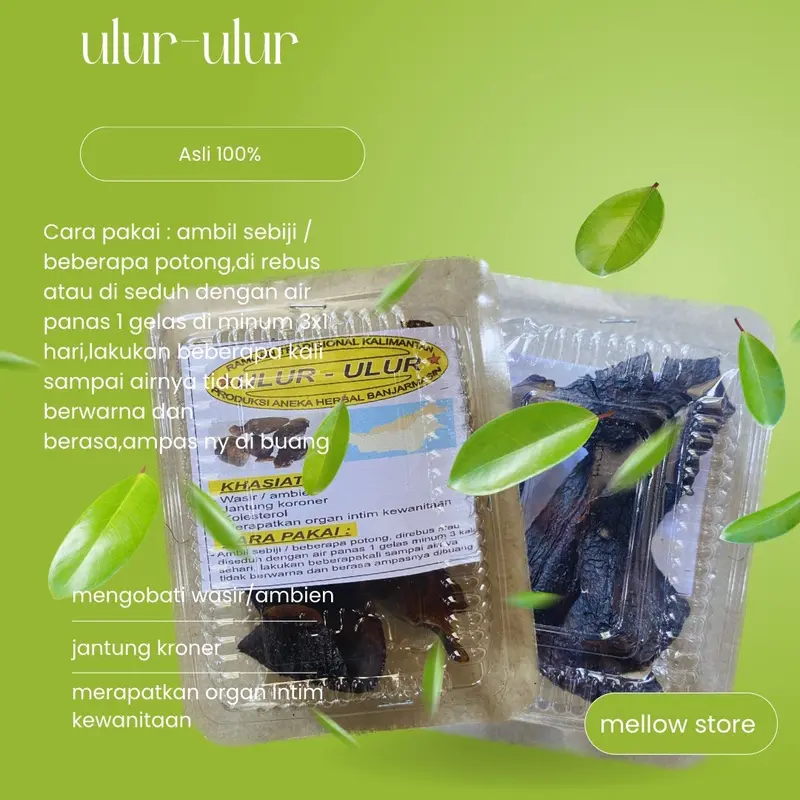 Buah Ulur Ulur Asli 100% Ramuan Tradisional Kalimantan mengobati ambien 1