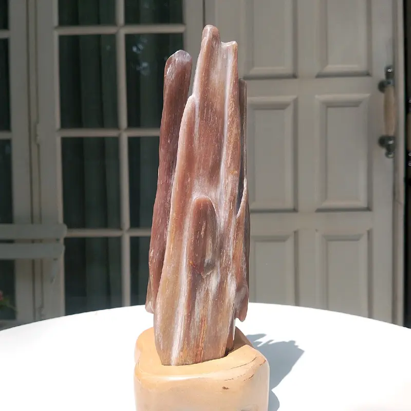 Batu Fosil Kayu Petrified Wood Agate Grade High Quality Pola Coklat 1