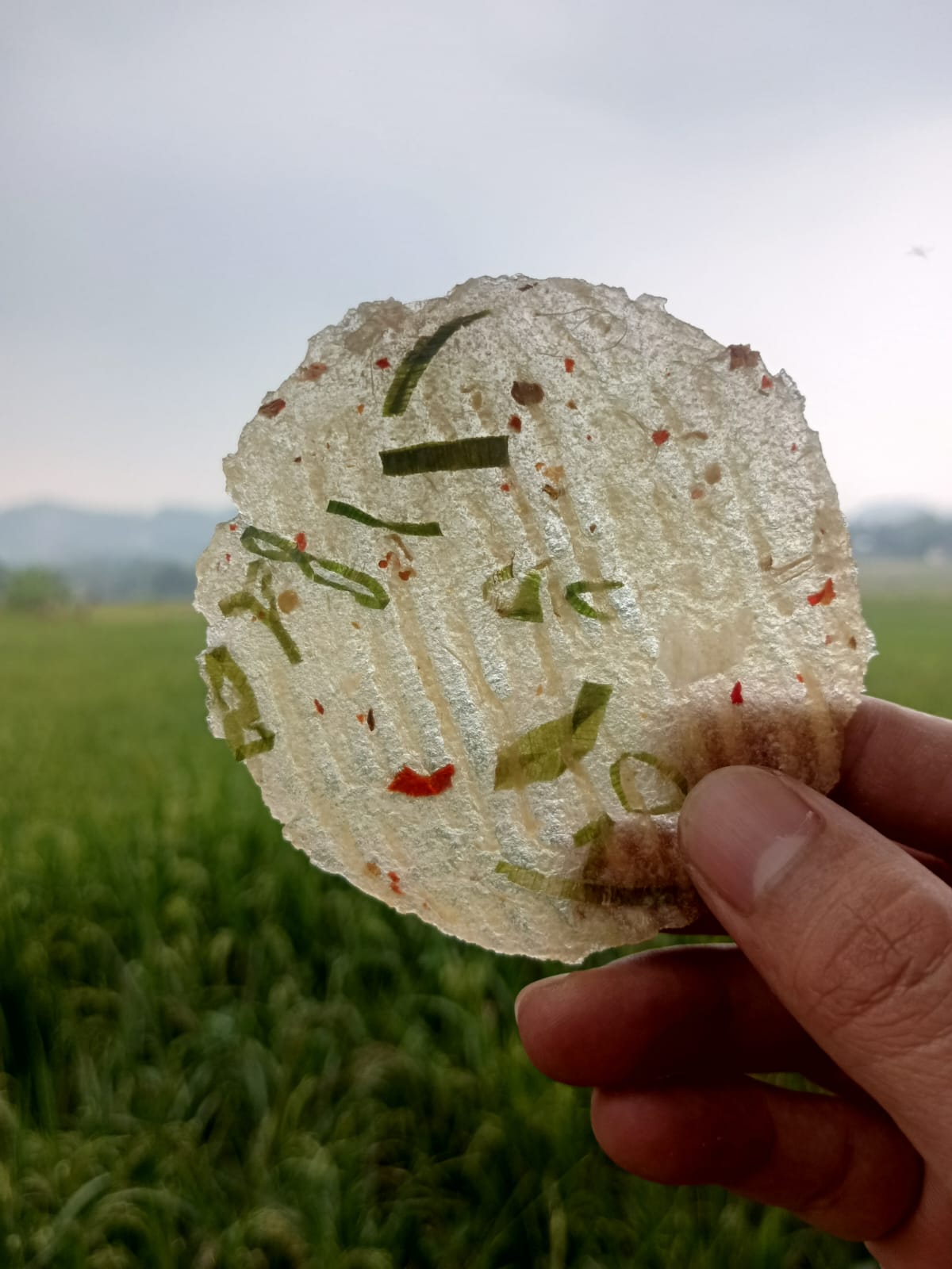 Kicimpring Singkong Mentah Bawang Cabai Gurih dan Renyah Camilan Kering Cemilan Kerupuk Snacks Makanan Keripik Pedas Food Kripik Opak Singkong Manis Asin enak