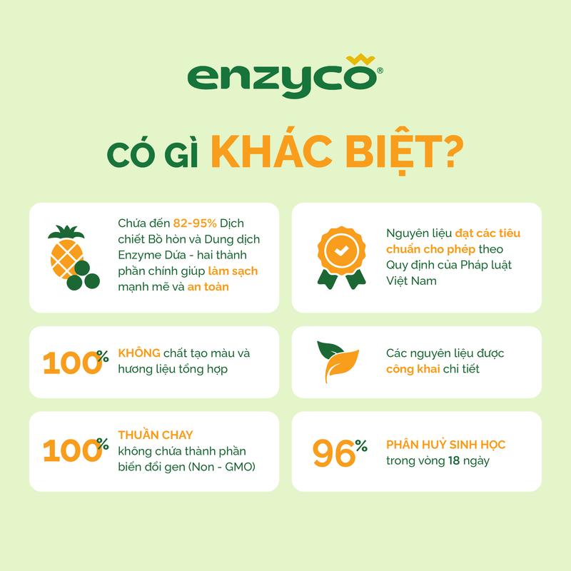 Nước rửa chén bát sinh học ENZYCO - Chiết xuất Bồ hòn và Enzyme Dứa - Hương thơm từ Tinh Dầu Gừng Ta Tự Nhiên 2