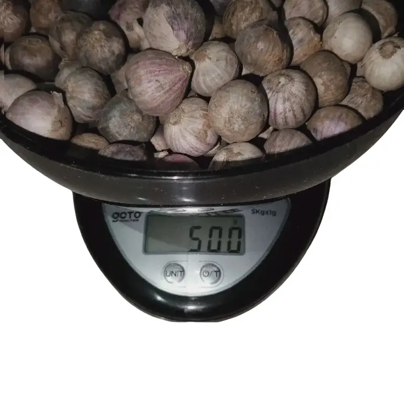 Ukuran Kecil/Bawang Putih Tunggal/Bawang Lanang, Impor China, Ukuran Kecil 0