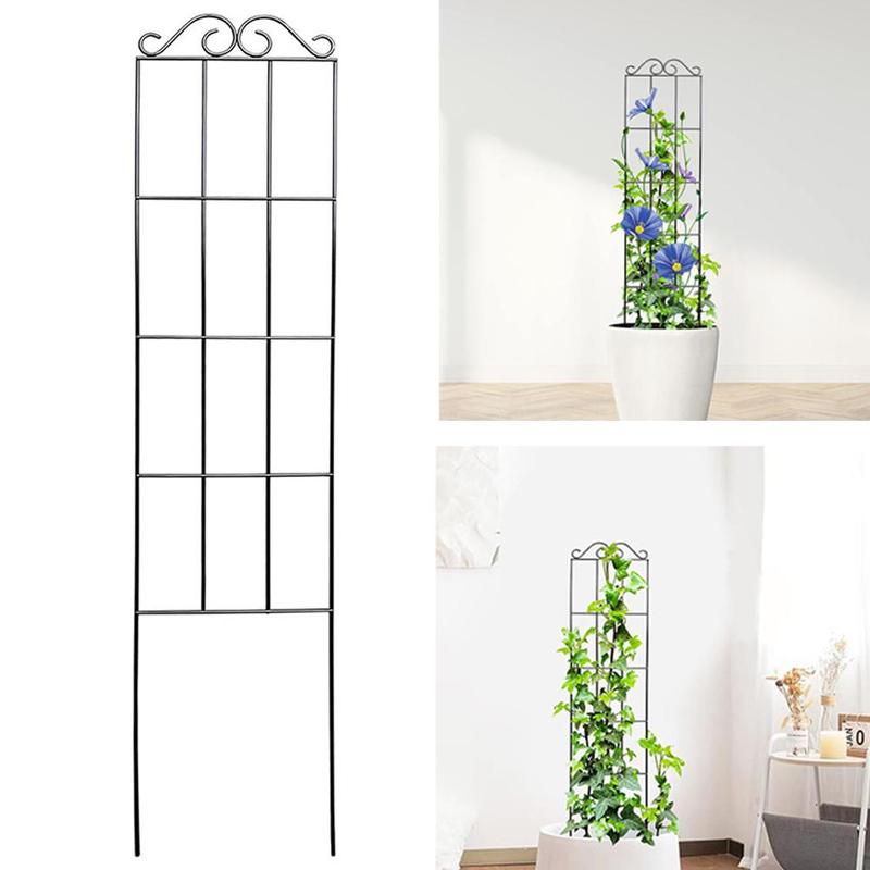 Khung giàn leo cho cây trong vườn dành cho hoa clematis và các loại dây leo…