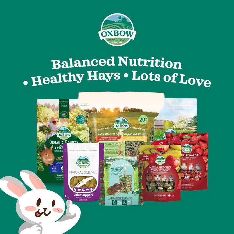 Product Introduction of Oxbow Critical Care Herbivore Fine Grind Small Animal Recovery Food 100g | Chinchillas Rats Gerbils Hamsters Guinea Pig 1