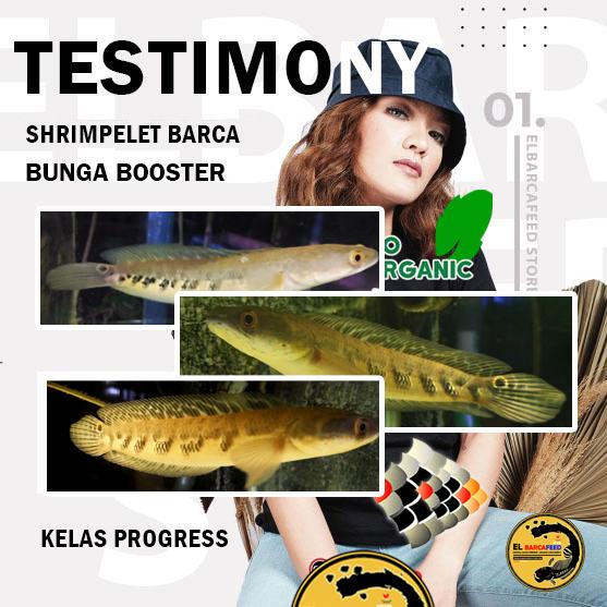 PAKET PAKAN IKAN PROGRESS pemecah cabung & Bunga Solid Channa Maru ys red xtra melanin guanin organik formula serangga 3
