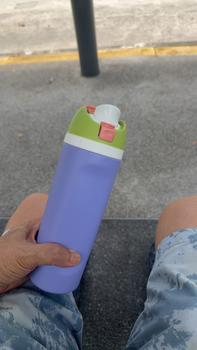 Product Review of FreeSip Insulated Stainless Steel Bottle with Locking Push Button Lid Portable Gym Sports Water Bottle  Tumbler Vacuum Flask from C**n 1