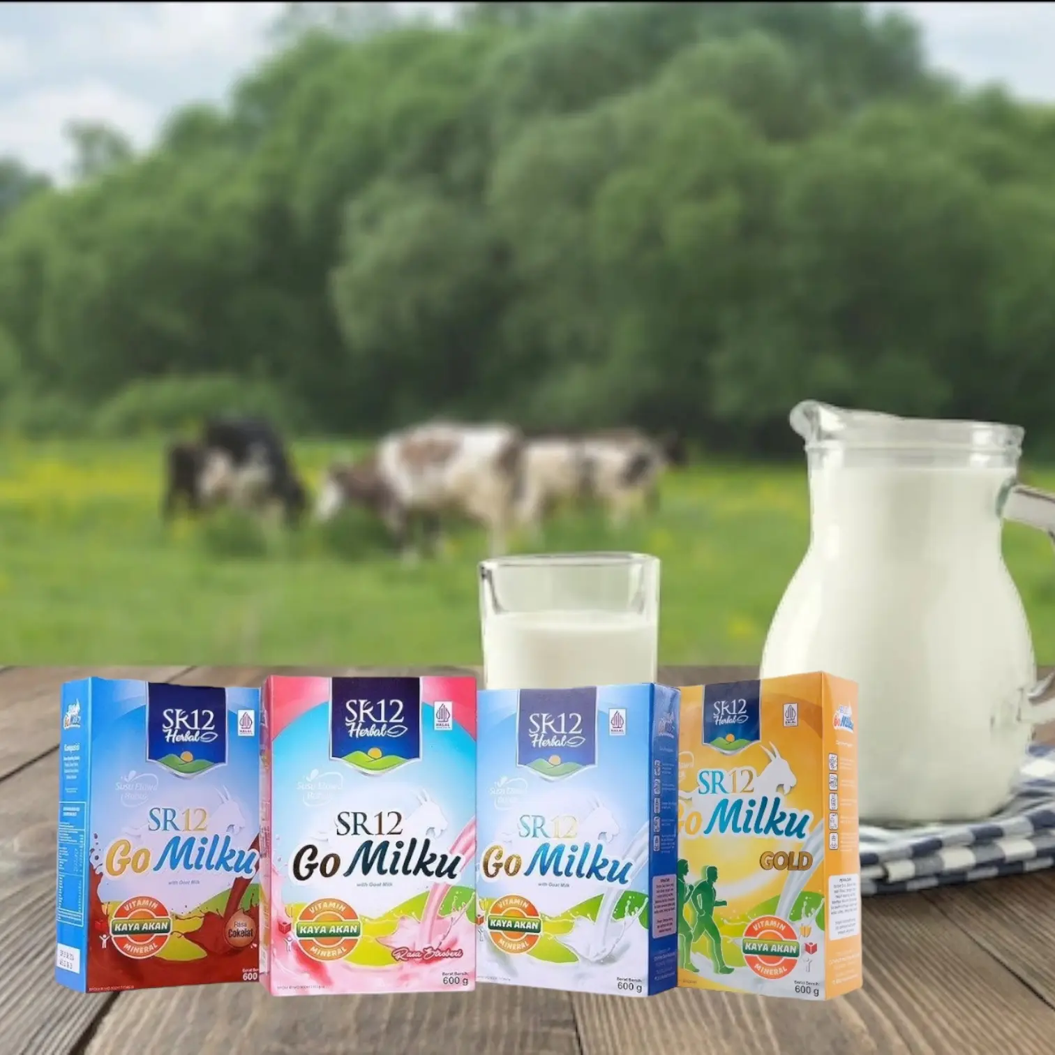GO MILKU SR12 600GR SUSU KAMBING ETAWA MEMBANTU MEMELIHARA KESEHATAN TUBUH