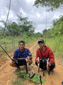 Product Review of Lure Soft Frog Mini umpan pancing Ukuran 3cm Berat 5grm Untuk Mancing Casting Ikan Gabus from ** 1
