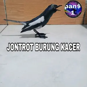 boneka patung jontrot burung Kacer