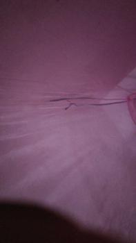 Product Review of jepit pita rambut Korea bahan satin mengkilap Wanita Orange kep from T**i 0