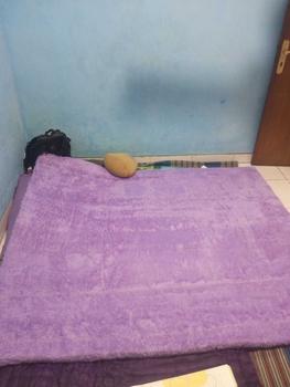 Product Review of karpet bulu busa empuk karpet bulu busa royal from w**d 0