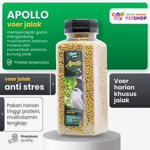 Voer Jalak APOLLO harian Gacor ngplong suara Kristal