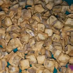 Pentol Tahu Isi 50 Biji Free Saos & Sambal - Snack