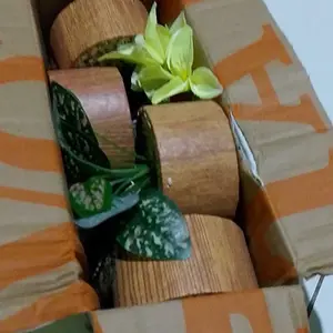 Paket Bunga 4pcs sesuai foto artificial vas aesthetic warna sesuai stok