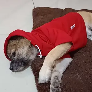 POMAPOO - Jacket Kucing dan Jaket Anjing Basic Jacket New Colour