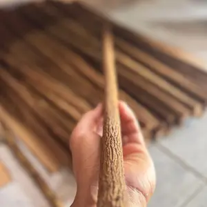 Tangkringan Asam Jawa Murai Batu Grade A Super