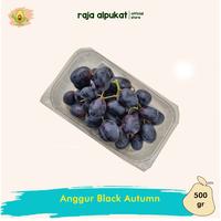 Gambar (500gr) Anggur Black Autumn Seedless-Anggur Hitam Tanpa Biji 1 pack - CHINA dari RAJA ALPUKAT Kota Administrasi Jakarta Timur 2 Tokopedia