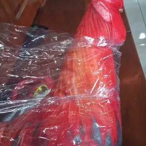 PillowArt Bantal Unik Karakter Ayam | Ayam Jago Betina Pelung Ukuran M - Koleksi Dekorasi Lucu ART142