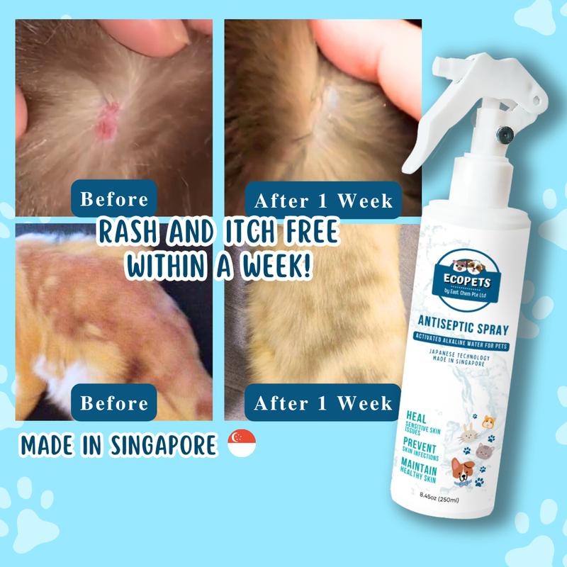 Product Introduction of [BUNDLE OF 2] Ecopets Antiseptic Spray for Pets' Skin Irritations 0