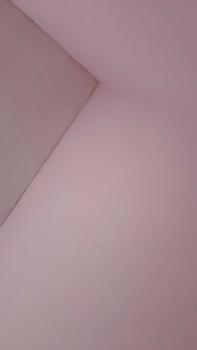 Product Review of Mentos Golia Isi 42x2,5g - Permen Mint Cemilan from n**a 0