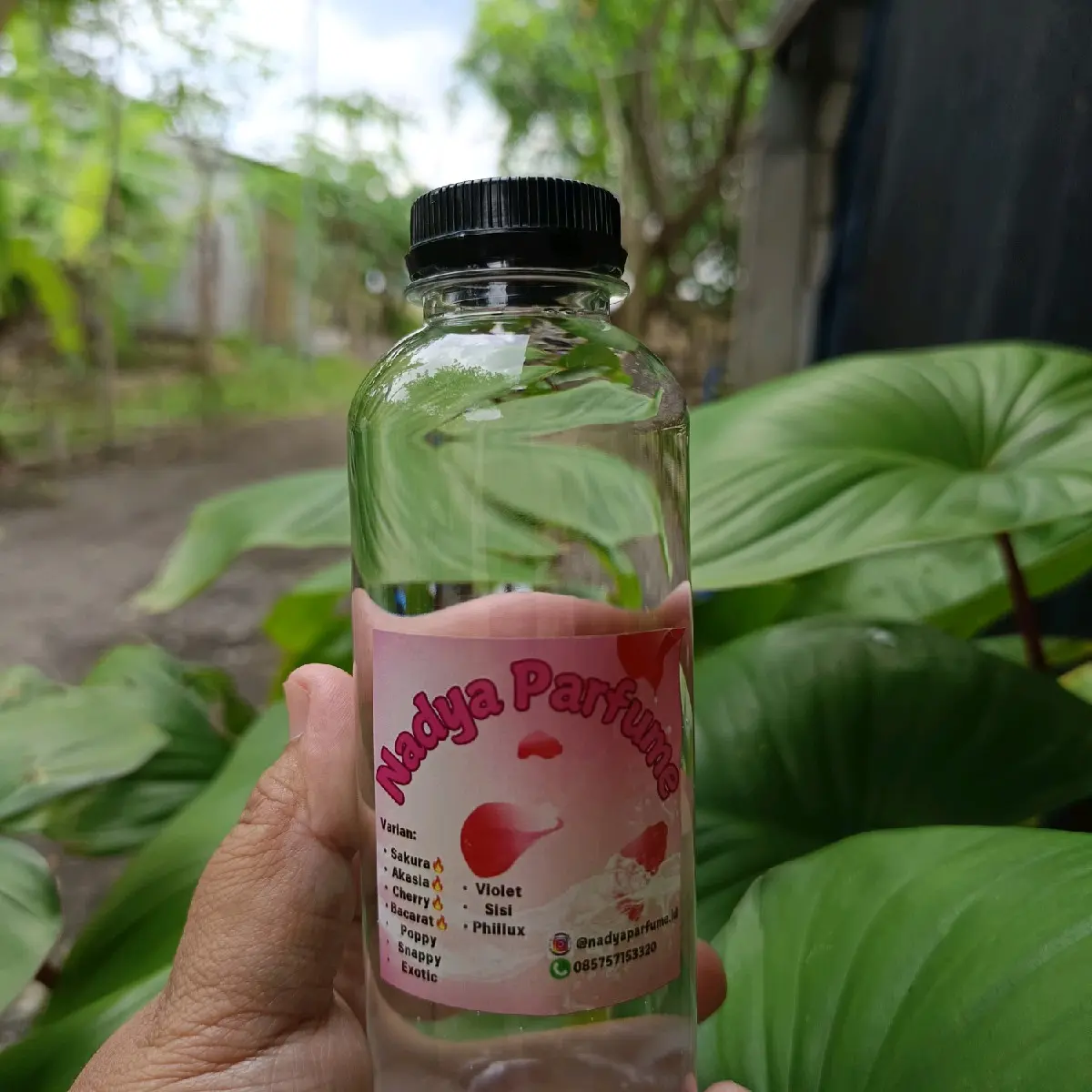 Parfum Laundry Sakura, Parfum Laundry Tahan Lama, Parfum Laundry Wangi 250ml Sakura