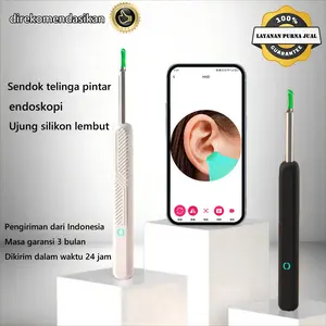 2025 Newest Alat Pembersih Telinga KorekKuping Kamera LED smart Visual Ear Stick WIFI waterproof Kotoran Removal Dilengkapi dengan empat tusuk telinga Cleaning korek kuping kamera alat pembersih telinga