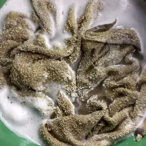 SODIUM PERCARBONAT 1KG (Coated Oxygen) Pembersih Jamur Pakaian Cloth Stain Remover