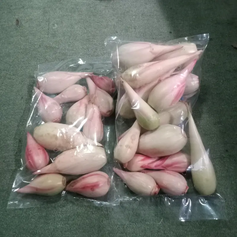 Kecombrang bumbu masak 1kg yang kami kirim kecombrang utuh 6