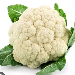 Biji bunga kol isi -+10biji