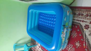 Product Review of Kolam renang ukuran 180cm motif lucu PREMIUM Brand Playground Anak Kotak Permainan Lem from m**o 1