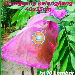 brongsong kelengkeng ukuran 40x35cm isi Paket 10 Lembar tanpa tali