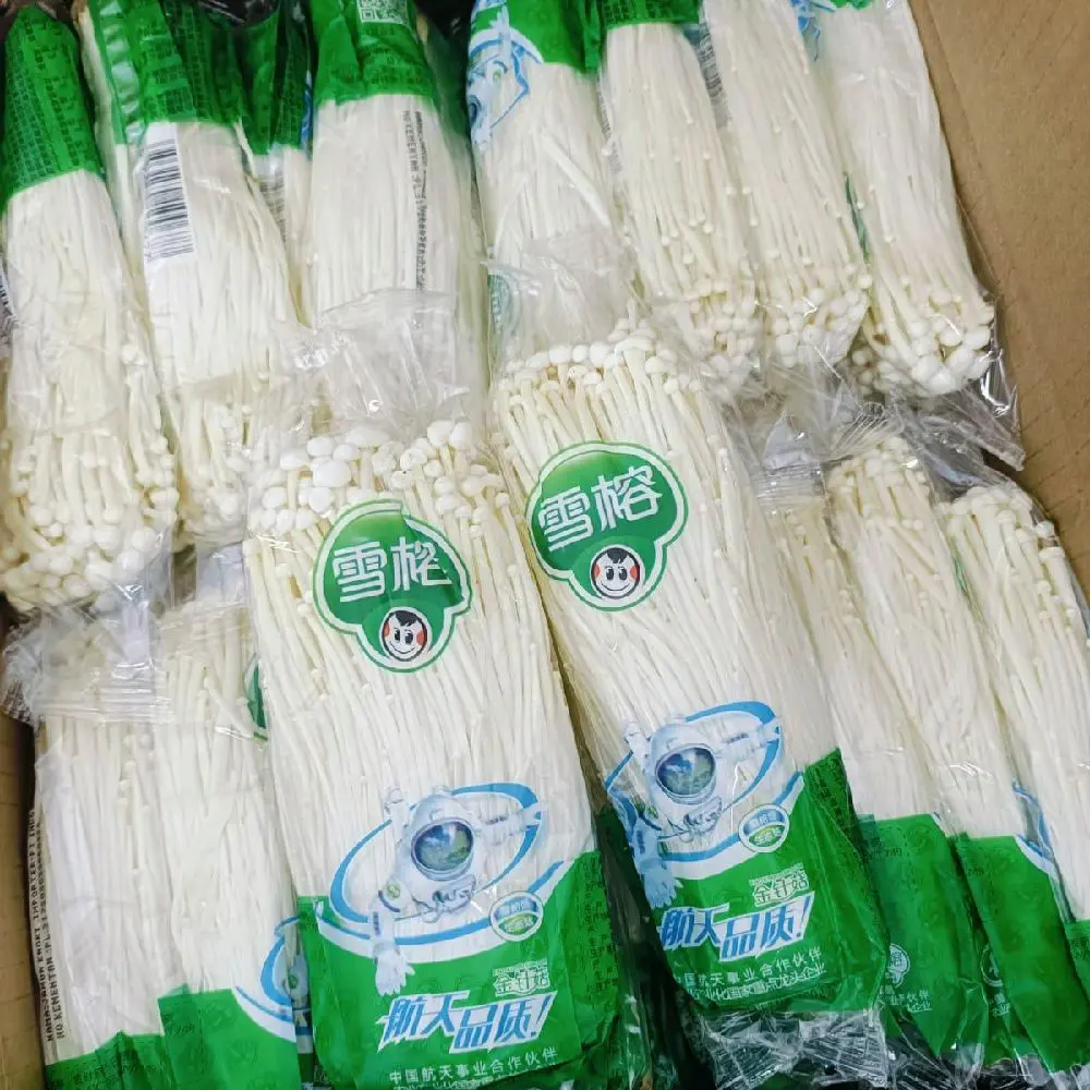 JAMUR ENOKI FRESH ASTRONOT (ORDERAN HANYA AREA JATENG)
